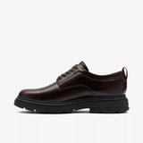 BADBURY LACE 26183266 - marrone - 2