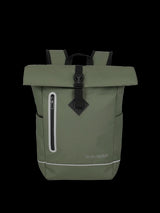 BASICS - oliva - 2
