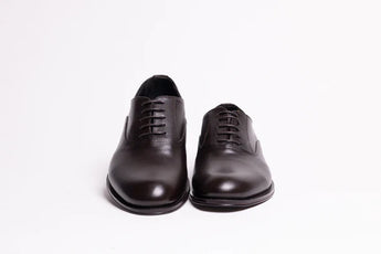 500 26 - moro - 3