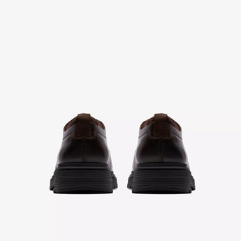 BADBURY LACE 26183266 - marrone - 3