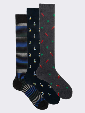 BOXCW3 VAR - cover