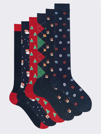 BOXCW6 NAT2 - n.d. - 1