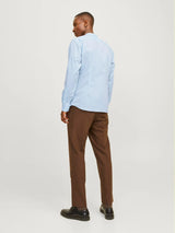 JJJOE MAO - celeste - 2