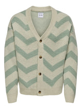 ONSRONNIE VIN - cover